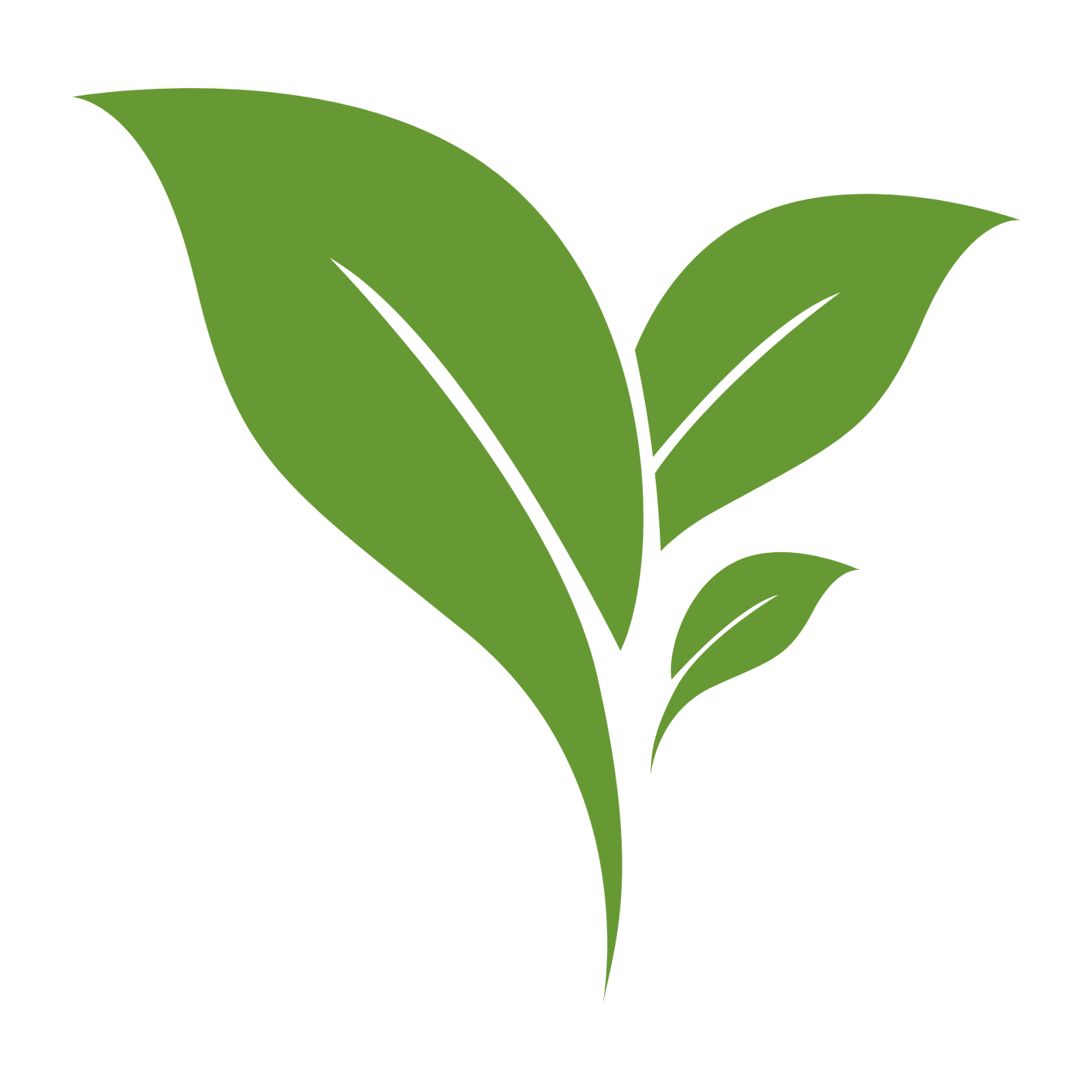 Holistic development